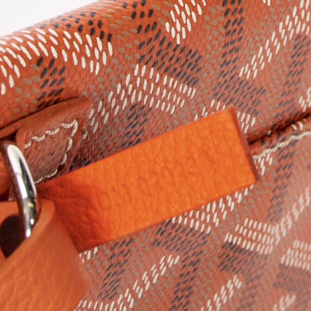 Goyard Saint Louis PM - Picture 9 of 9